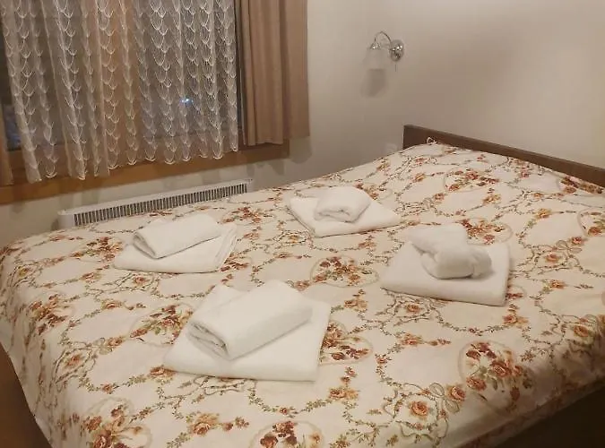 公寓 Vip - Elsa 1 兹拉蒂博尔