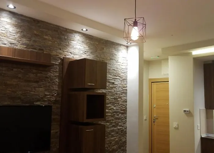 公寓 Vip - Elsa 1 *